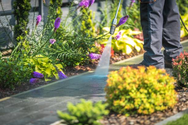 Best Restaurant Pressure Washing  in Dexter, OR