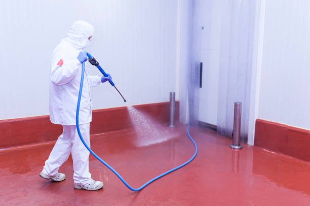 Paint Preparation in Dexter, OR