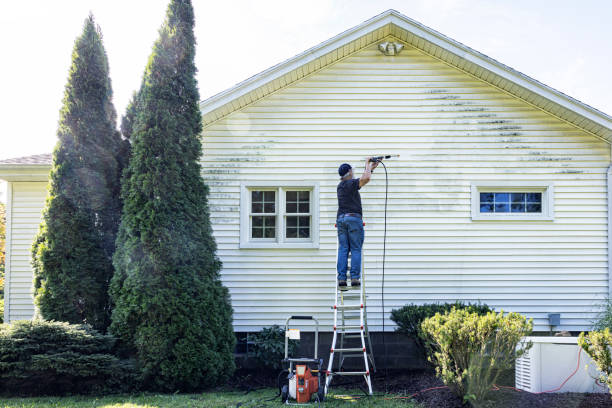 Best Soft Washing  in Dexter, OR