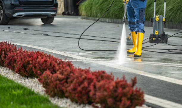 Best Patio and Deck Pressure Washing  in Dexter, OR