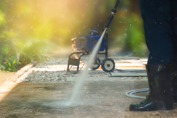 Best Roof Washing  in Dexter, OR